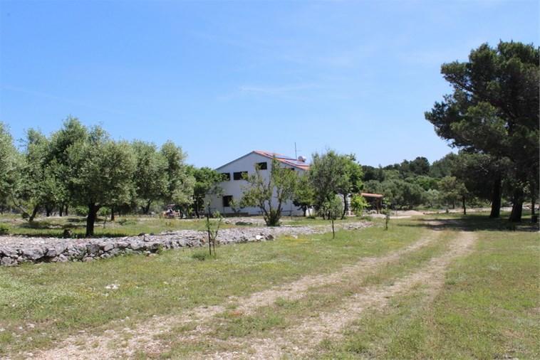 Eco Secluded Apartments Zabodarski Čunski Exterior foto