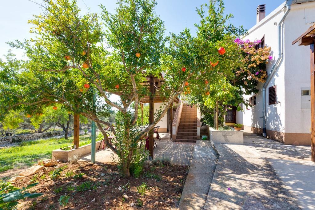 Eco Secluded Apartments Zabodarski Čunski Exterior foto